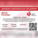⚡ ACLS Provider eCard wide